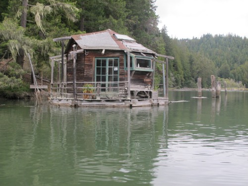 More floating cabins on the Albion River, California.#1